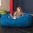 Jaxx Jr. Bean Bags Indoor Bean Bag-19034376