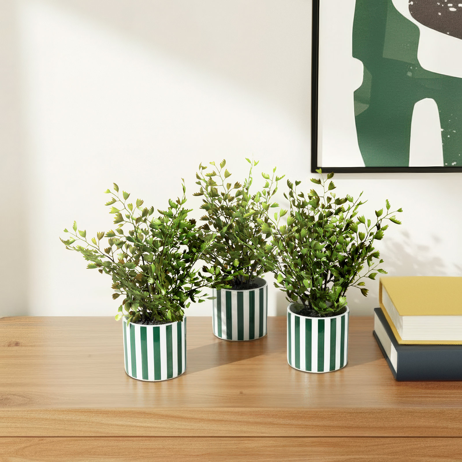 Queensland Maidenhair Drop-Ins