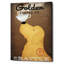 «Golden Coffee Co» par Ryan Fowler, impression sur toile tendue-426351585