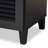 Shoe Storage Cabinet-355326335-268977540