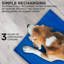 Tapis pour chien Audreigh-1691046653