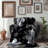 Throw Blanket-325768806