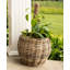 Round Belly Planter With Plastic Insert