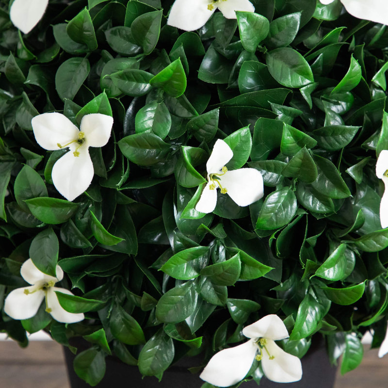 15 po Buis artificiel résistant aux rayons UV et plante topiaire gardénia (intérieur / extérieur)