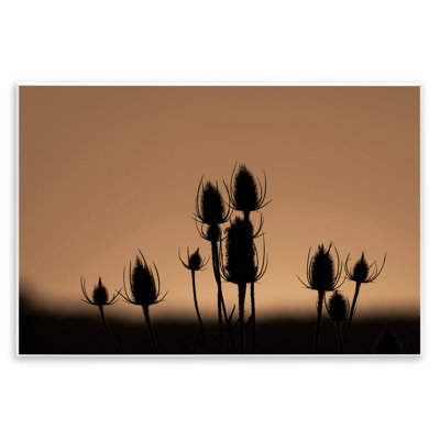 «Botanical Sprigs Silhouettes», art mural sur toile par Nancy Crowell