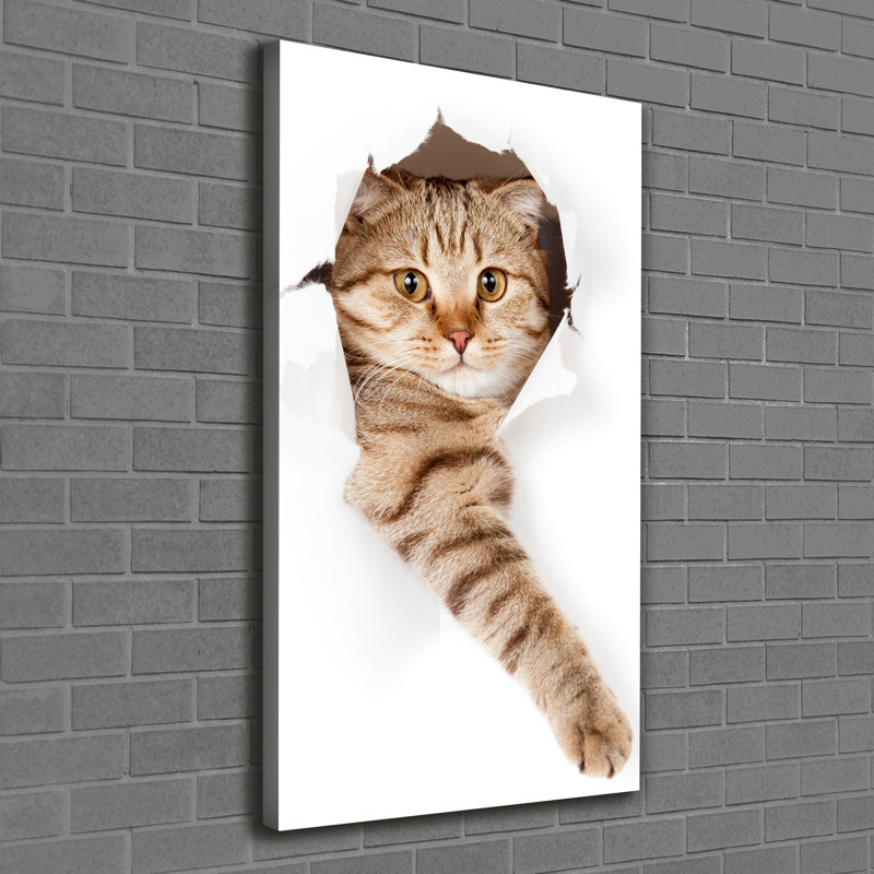 Cat - Wrapped Canvas Print