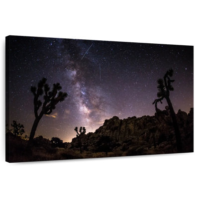 Parc arboré Oberle Starlit Joshua