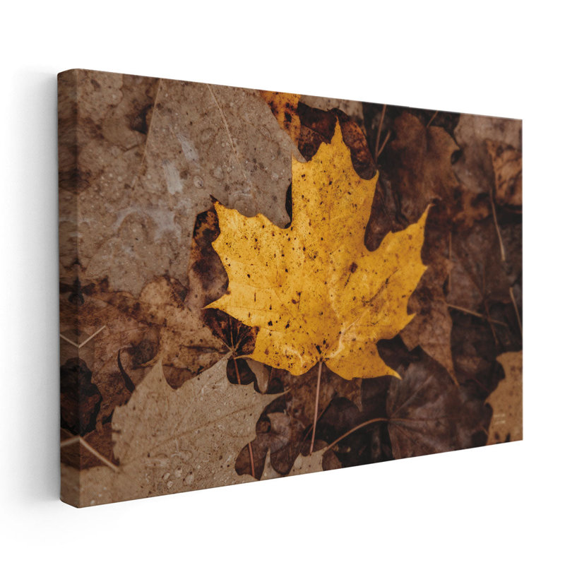 «Fall Rains II», reproduction d'art sur toile, H 20 po x l 30 po
