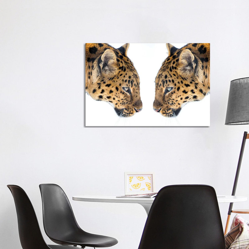 Mirrored by David Gardiner - Wrapped Canvas Print, 66.04cm H x 101.6cm W
