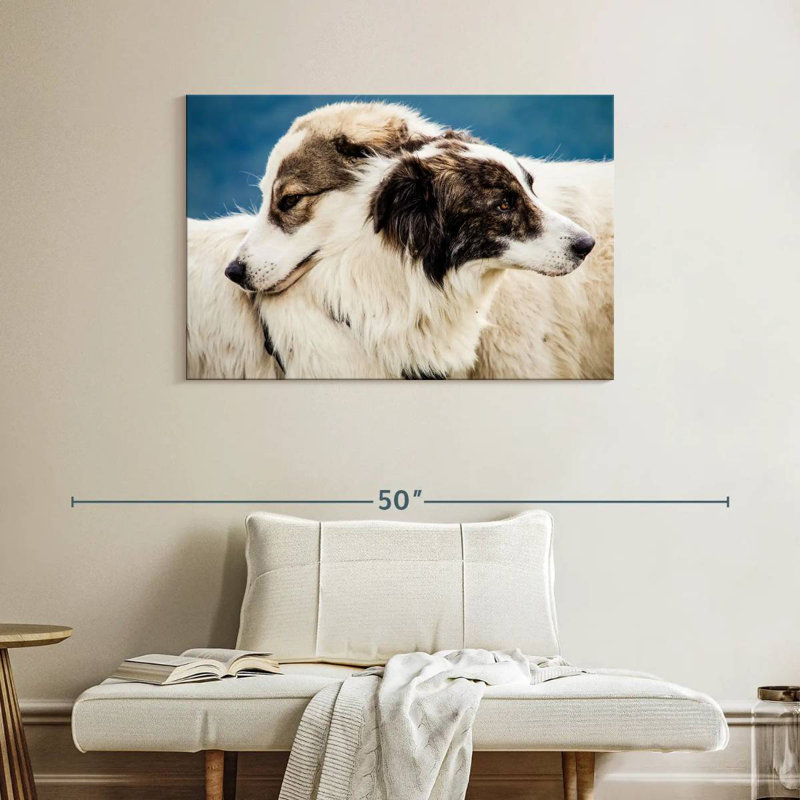 Brampt Australian Shepherd Dogs, 26" H x 39" W