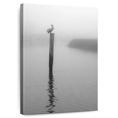 Brampt On Pelican Marsh