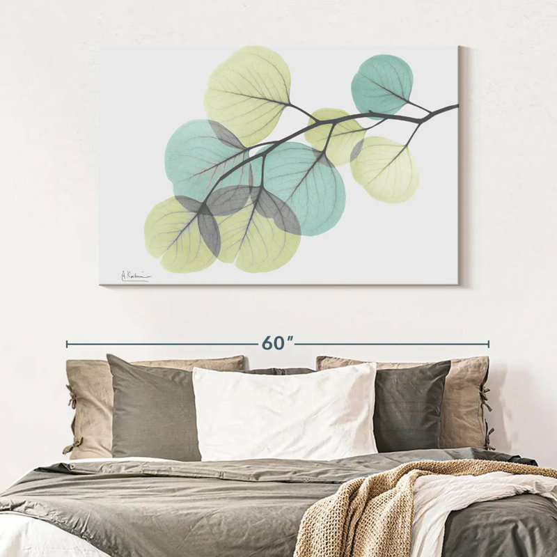 Eucalyptus Harnek Turq, H 34 po x l 51 po