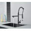Belfry Kitchen Almena Pull Down Kitchen Faucet