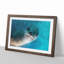 Face of a Seal - Framed Print-62802820-62802821