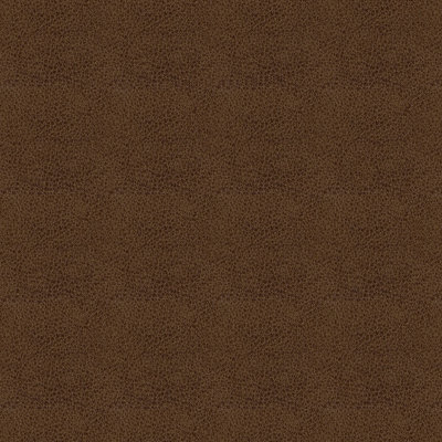 Abbeyshea Baldwin Faux Leather Fabric By The Yard