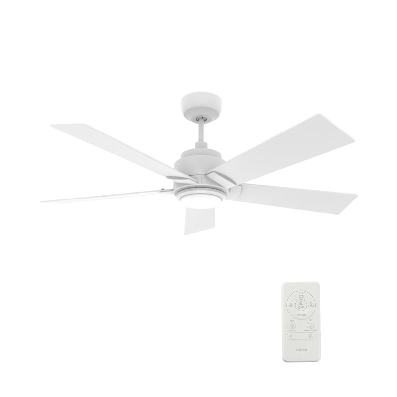 Ventilateur de plafond intelligent avec télécommande, ensemble d'éclairage, fonctionne avec l'assistant Google et Amazon Alexa, raccourci Siri.