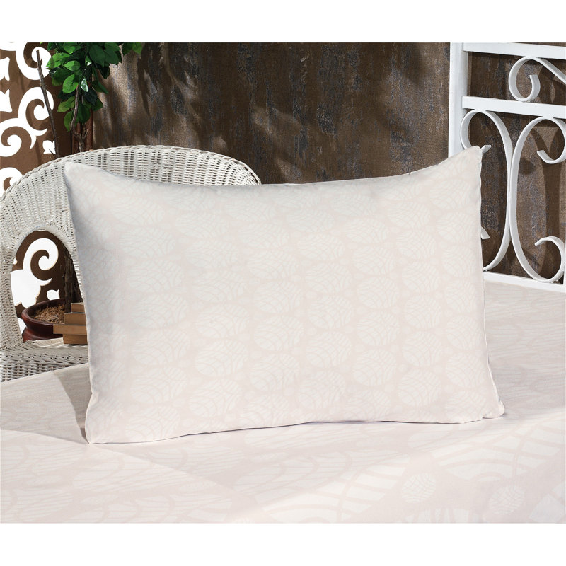 Ensemble de housse de coussin et de taie décorative ivoire Ambesonne, crème