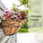 4 Pack 14 Inch Window Boxes Planters Railing Planter Box With Co...