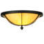 2 - Light Flush Mount