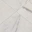 Calacatta Gold 12 in. x 12 in. Polished Marble Floor and Wall Tile