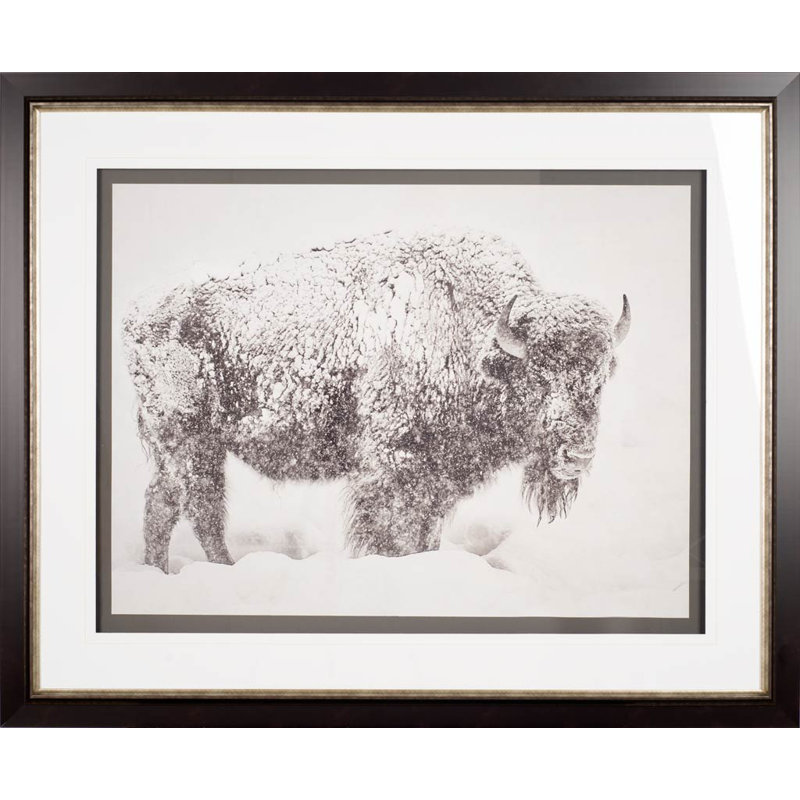 In The Storm by WINK GAINES a Hand Embelished Textured Framed Art Photograph Matted under Glass