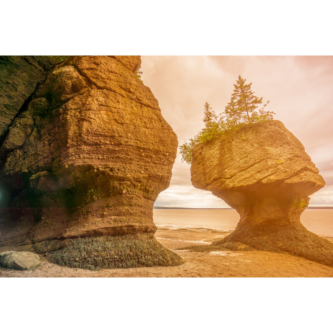 Hopewell Rocks von Instants - Drucken