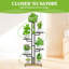 Plant Stand