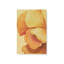 «Sunset Petals I» par Grace Popp, reproduction d'art sur toile-270508227
