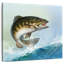 Brampt Bass-109209452