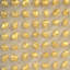 Gold Stone Print