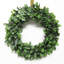 Leafy Foliage Plastic Wreath-1594534604