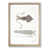 Oak Framed selected