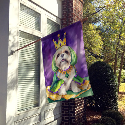 Double Sided 40'' H x 28'' W Polyester Mardi Gras House Flag