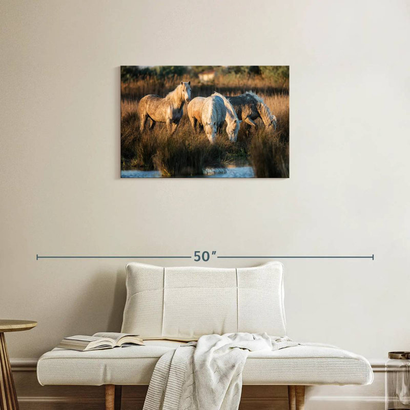 Ronce les chevaux blancs de Camargue VII, H 20 po x l 30 po