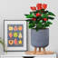 Ribbed Cylinder Planter with Feet-1753896807-1753896811