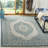 Amedee Performance Oriental Indoor/Outdoor Area Rug-22825464