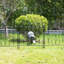 Coeymans 70cm H x 61cm W Metal Fence Panels Included-1973254290