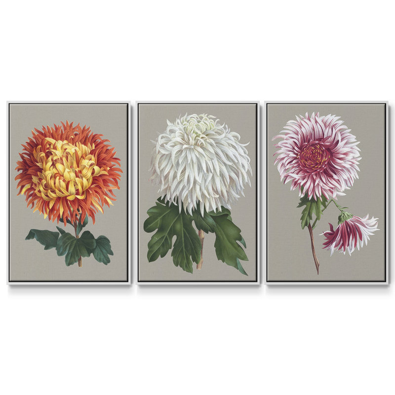 Chrysanthème sur fond gris I 3 pièces, H 36 po x l 72 po, Blanc