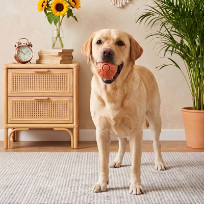 2pcs Rechargeable Interactive Pet Ball Toys with LED Lights