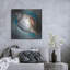«Sea Shell Glow» par Louise Montillio