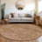 Segin Area Rug with Non-Slip Backing-109484032