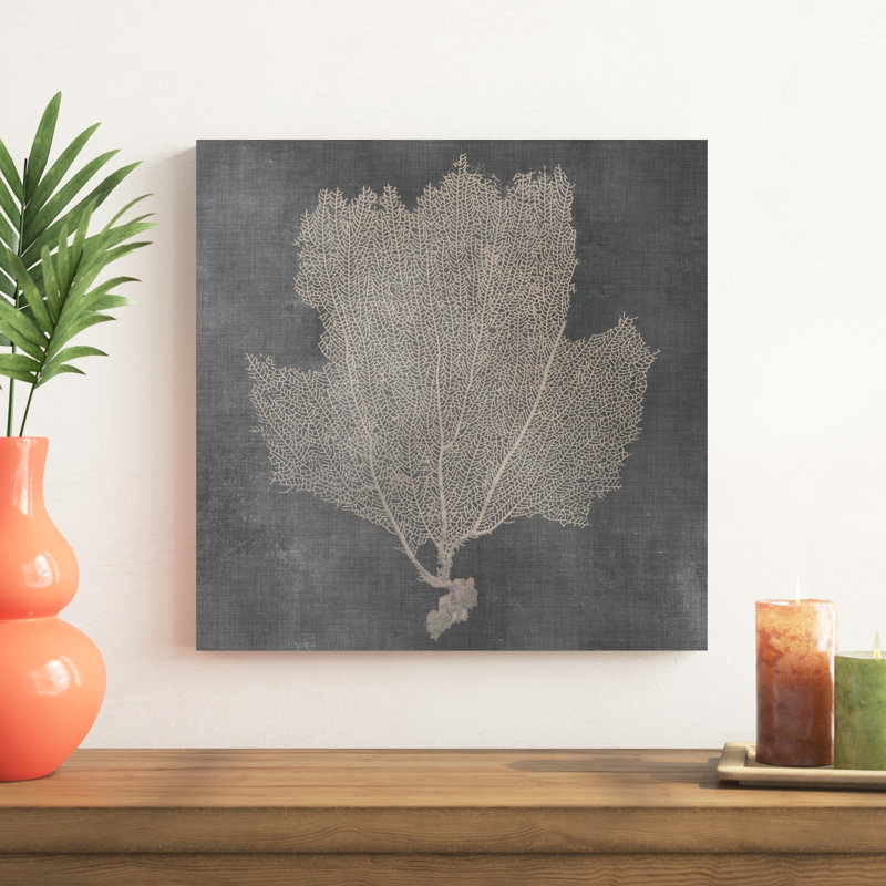 " Natural Sea Fan III " by Vision Studio, 20" H x 20" W  