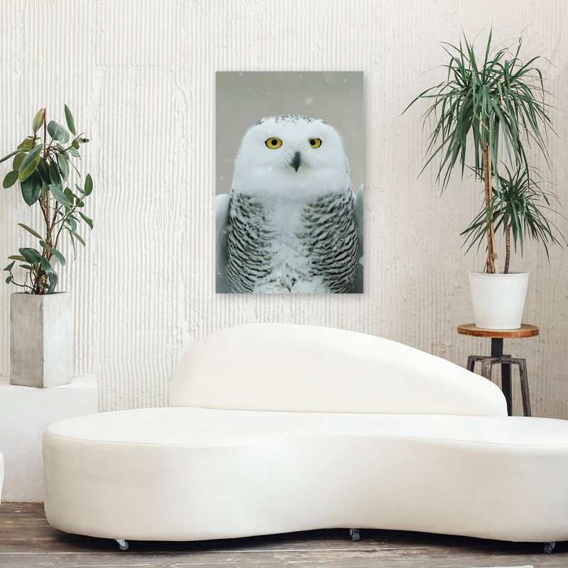Snowy Owl Eyes - photographie animaux, chouettes, art, H 36 po x l 24 po