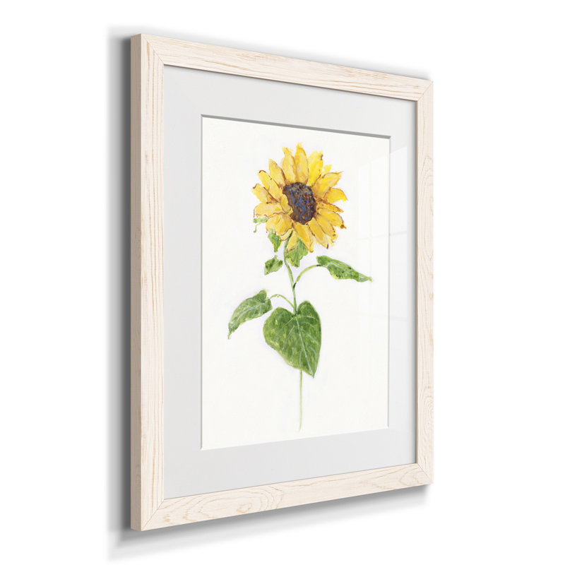 Tournesol I - impression, H 24 po x l 18 po x P 1,5 po, Blanc
