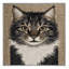  Tapis lavable American Wirehair Cats-684478378