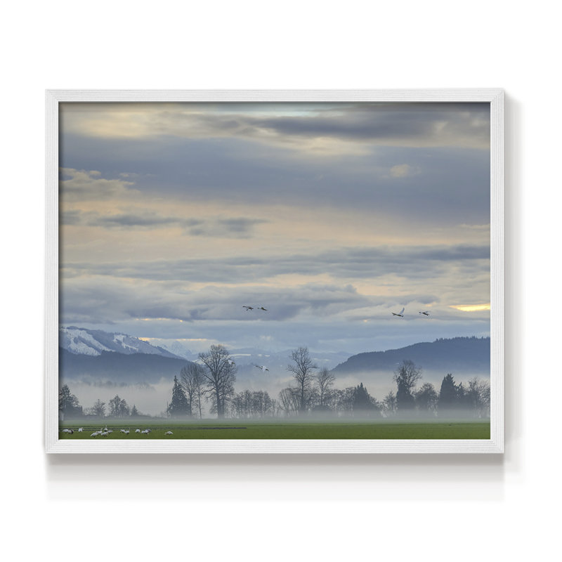 «Misty Horizon», impression encadrée, H 11 po x l 14 po, Blanc