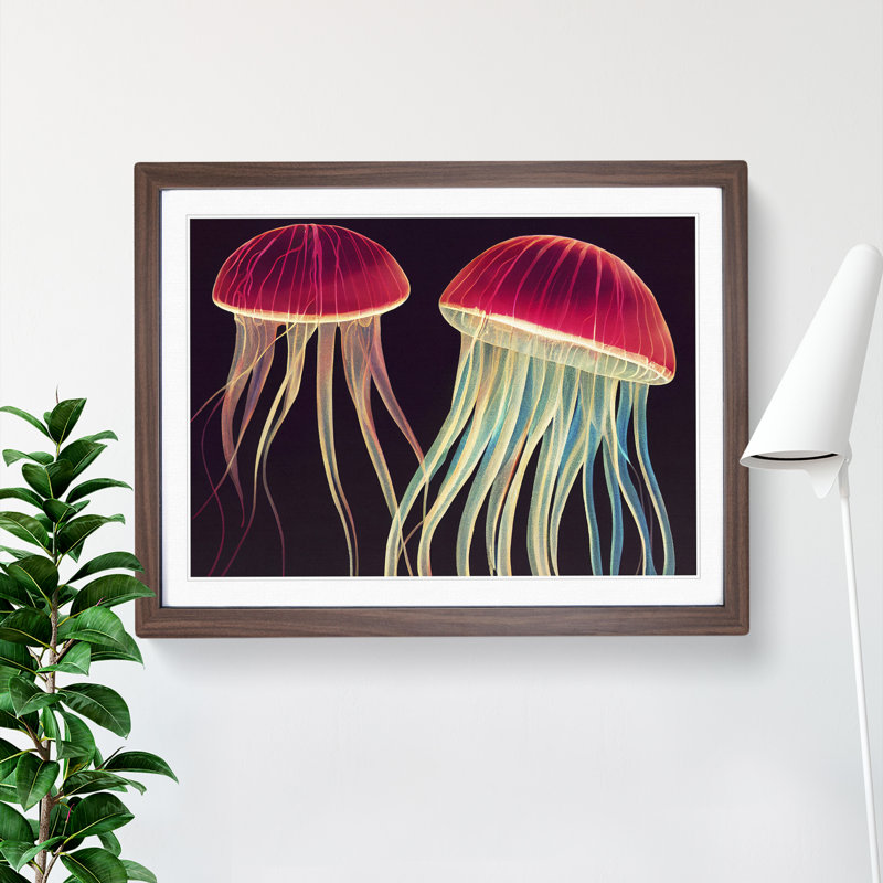 Two Jellyfish - Single Picture Frame Print, 25cm H x 34cm W x 2cm D, Walnut