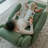 Versatile Single Sofa Recliner with Storage Pocket-137475056