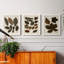 Autumnal Leaves I - Ensemble de 3 peintures sur toile encadrées-1075247884-1075247885