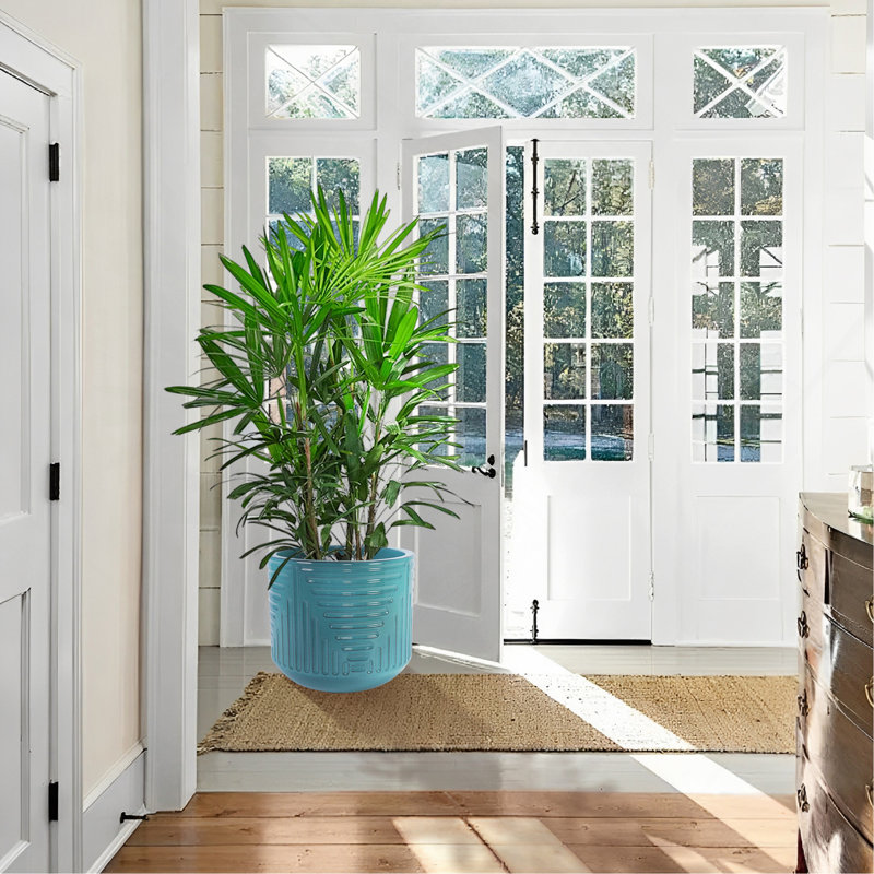 Jardinière en céramique durable de style moderne pour une utilisation intérieure et extérieure